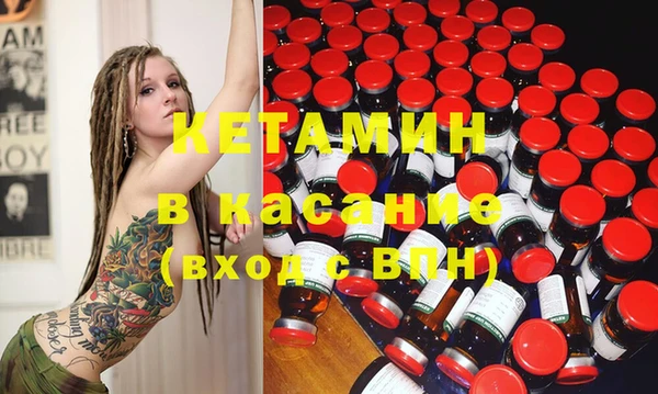 прущие грибы Богданович