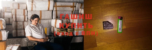 прущие грибы Богданович