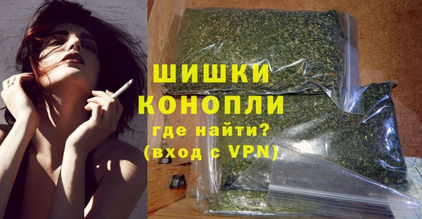 соль ск Бородино