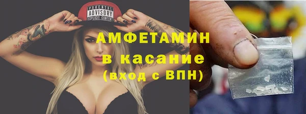 прущие грибы Богданович