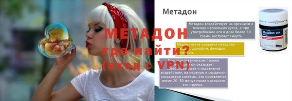 прущие грибы Богданович