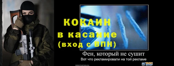 прущие грибы Богданович