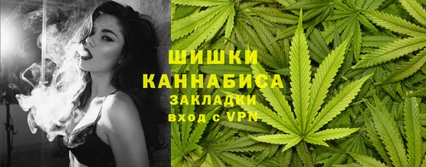2c-b Богородицк