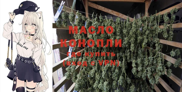 соль ск Бородино